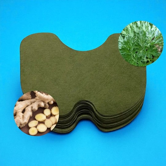 Herbal Pain Relief Patch (12pcs)